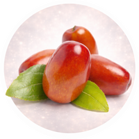 Jojoba oil