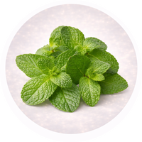 Peppermint oil