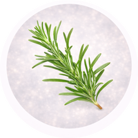 Rosemary oil